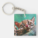 Buscar ocelot accesorios Gatito