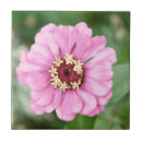 Buscar zinnia azulejos Verde
