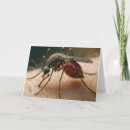 Buscar mosquito tarjetas General y unisex