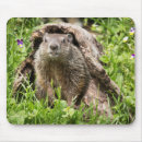 Buscar hueco alfombrillas de raton Naturaleza