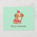 Buscar funny christmas postales General y unisex