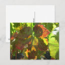 Buscar uva roja postales Uvas