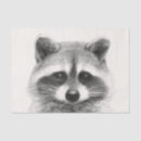 Buscar dibujo lápiz de papel de seda Animal