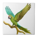 Buscar macaw militar Para todos