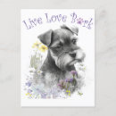 Buscar amante del schnauzer postales Raza de perro