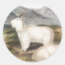 Buscar goat pegatinas Vintage