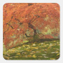 Buscar arce japonés pegatinas Oregón