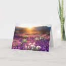 Buscar verbena postales California