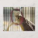 Buscar molly postales Molestar