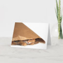 Buscar saco tarjetas Gato