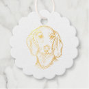 Buscar pet bodas Perros