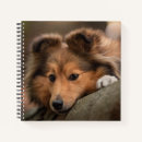 Buscar animales cuadernos Perro