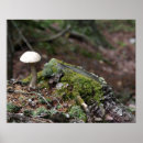 Buscar seta posters Árbol