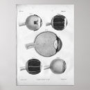 Buscar optometristas posters Ojo