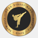 Buscar taekwondo pegatinas Kickboxing