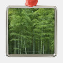 Buscar bambú adornos Naturaleza