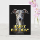 Buscar galgo tarjetas Animal