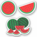 Buscar semilla manualidades Verano