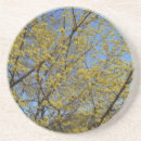 Buscar cherry posavasos Floral