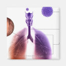 Buscar pulmones imanes Humano
