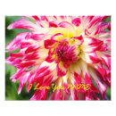 Buscar primavera floral posters Colorido