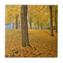 Buscar american azulejos Otoño