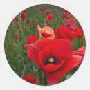 Buscar disquete pegatinas Flores