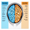 Buscar cerebro posters Anatómico