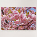 Buscar flores de cerezo puzzles Rosa