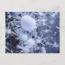 Buscar cristales de hielo postales Azul