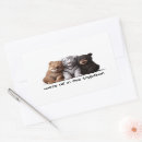 Buscar amigo rectangulares pegatinas Mejores amigos