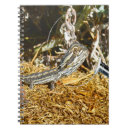 Buscar barbas cuadernos Dragón