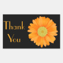 Buscar gerberas pegatinas Maricas