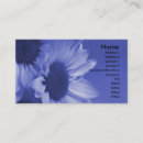 Buscar margaritas azules tarjetas de visita Jardín