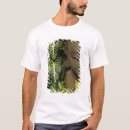 Buscar arte budista ropa Deidad
