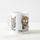 Buscar y gatito blanco fotografía General y unisex