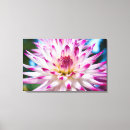 Buscar dalia rosada decoracion Floral