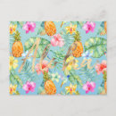 Buscar pájaros tropicales postales Para todos
