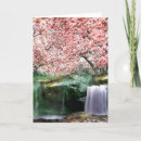 Buscar flores de cerezo japonesas tarjetas Japón