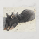 Buscar almohadas postales Para todos