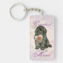 Buscar newfie accesorios Cachorro