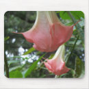 Buscar trompetas alfombrillas de raton Para todos