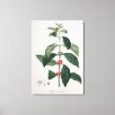 Buscar las vegas lienzos Hoquart