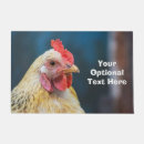 Buscar granja de pollo fotografía Animales