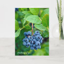 Buscar el producir tarjetas 8 º fruta