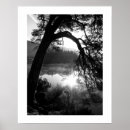 Buscar de lagos posters Árbol