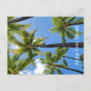 Buscar palmtrees postales Hawaii