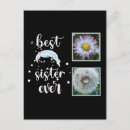 Buscar estrellas lindas postales Para ella