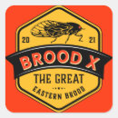 Buscar insecto pegatinas Cigarras