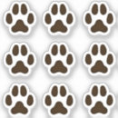 Buscar huellas de animales manualidades Para todos